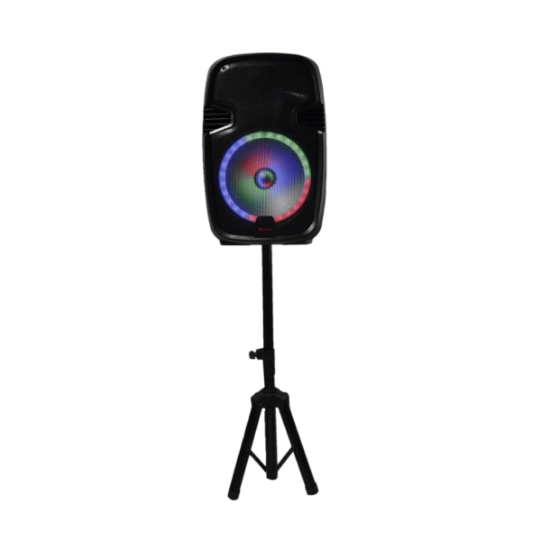 Corneta Recargable de 80W 15" SJ Electronics
