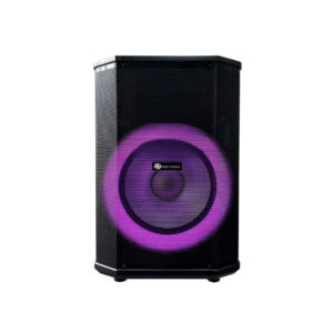 Corneta Portátil Recargable de 12" 100W SJ Electronics