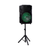 Corneta Portátil Recargable Amplificada de 100W 12" SJ Electronics