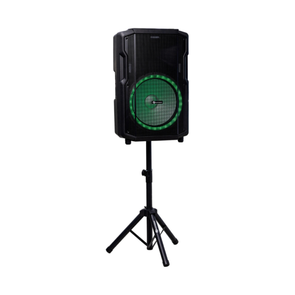 Corneta Portátil Recargable Amplificada de 100W 12" SJ Electronics
