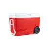 Cava Ice Roller de 55 Litros con Ruedas Decocar