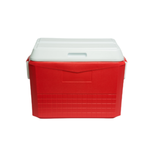 Cava Junior de 31 Litros Artic Decocar