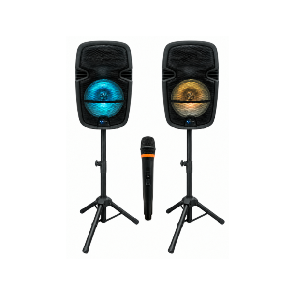 Combo de 2 Parlantes hasta 3000W Technical Pro