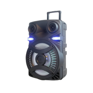 Corneta Amplificada de 15″ Technical Pro