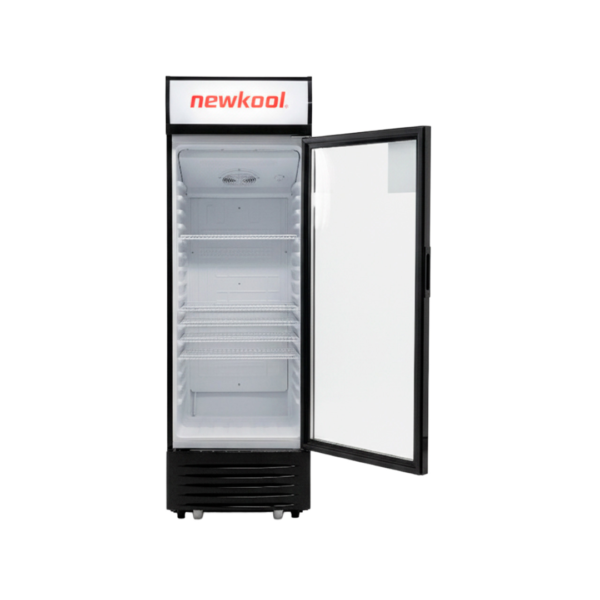 Nevera Vitrina de 300L Newkool