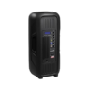 Corneta Amplificada de 15" X2 250W RMS Sankey
