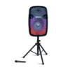Corneta Amplificada Portátil 15" de 100W RMS (1000W PMPO) Aiwa