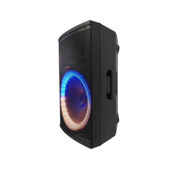 Corneta Amplificada Pro de 15" 50W Newkool