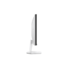 Monitor Mini LED de 24" FHD 1920x1080 100Hz TCL