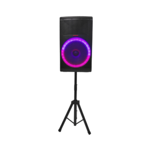 Corneta Portátil 15" de 60W Newkool